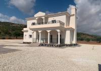 Nybygg - Villa - Pinoso - Camino Del Prado