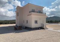 Nybygg - Villa - Pinoso - Camino Del Prado