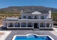Nybygg - Villa - Pinoso - Camino Del Prado