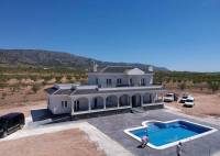 Nybygg - Villa - Pinoso - Camino Del Prado