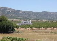 Nybygg - Villa - Pinoso - Camino Del Prado