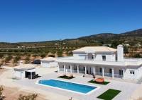 Nybygg - Villa - Pinoso - Camino Del Prado