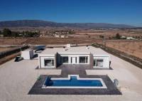 Nybygg - Villa - Pinoso - Camino Del Prado
