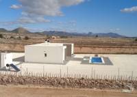 Nybygg - Villa - Pinoso - Camino Del Prado