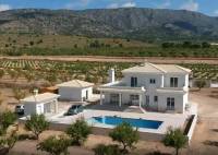 Nybygg - Villa - Pinoso - Camino Del Prado