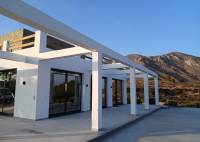 Nybygg - Villa - Pinoso - Casas Pastor