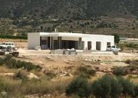 Nybygg - Villa - Pinoso - Casas Pastor