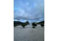 Nybygg - Villa - Pinoso - Casas Pastor