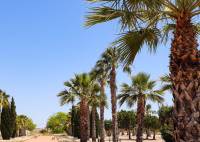 Nybygg - Villa - San Fulgencio - La Escuera