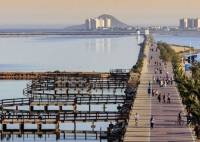 Nybygg - Villa - San Pedro del Pinatar - CENTRO