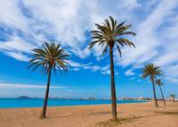 Nybygg - Villa - Torre Pacheco - Roldán