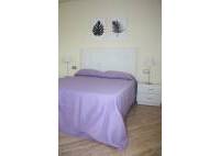 Nybygg - Villa - Torrevieja - Los altos