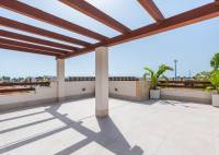 Nybygg - Villa - Vera - Vera playa