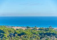Resale - Penthouse - Gran Alacant - .