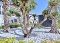 Resale - Penthouse - Orihuela Costa - Punta Prima