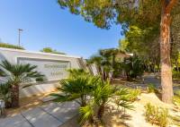 Resale - Penthouse - Orihuela Costa