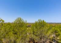 Resale - Penthouse - Orihuela Costa