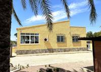 Resale - Villa - Elche Pedanías - Daimés