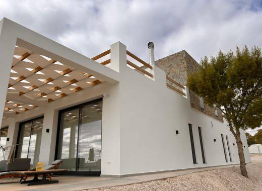 Villa - New Build - Pinoso - Casas Pastor