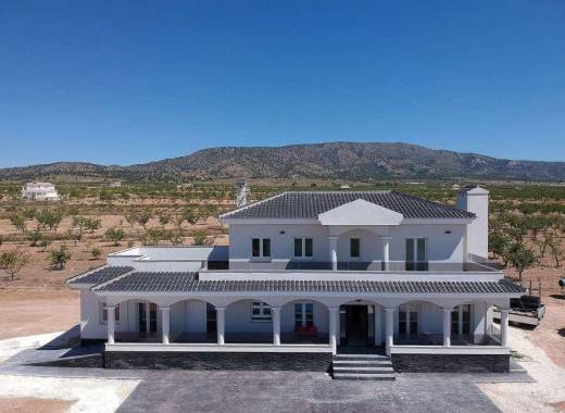 Villa - Nybygg - Pinoso - Camino Del Prado